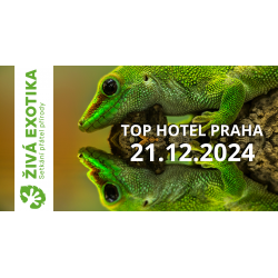 21.12.2024 ticket ZIVA EXOTIKA