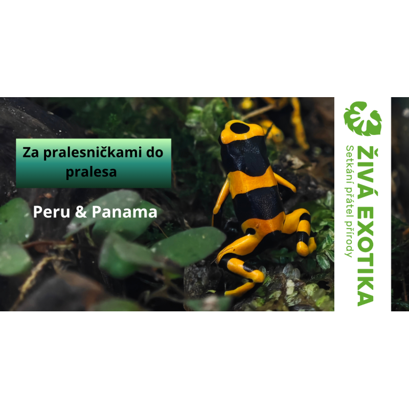 Přednáška 16.5.2026 - Za pralesničkami do pralesa