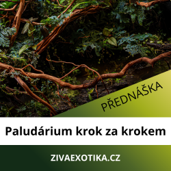 Přednáška 5.9.2026 - Paludárium krok za krokem