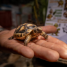 17.10.2026 ŽIVÁ EXOTIKA