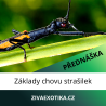 17.10.2026 PŘEDNÁŠKA - Základy chovu strašilek