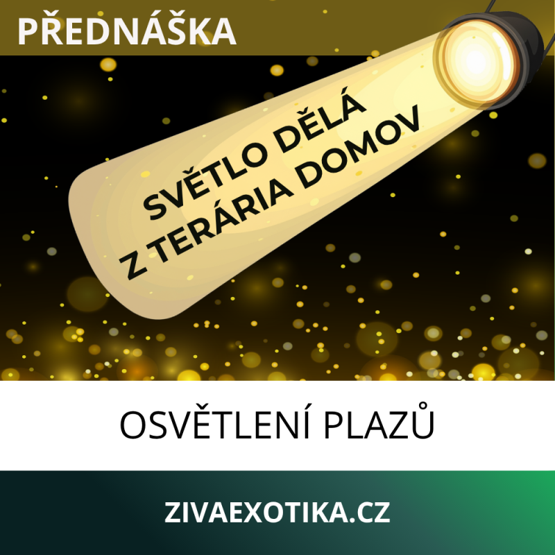 21.11.2026 PŘEDNÁŠKA - Osvětlení plazů