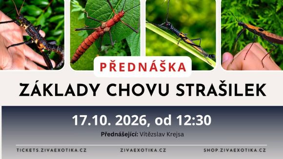přednáška